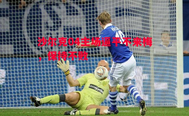 FB体育-沙尔克04主场逼平不来梅，保持不败