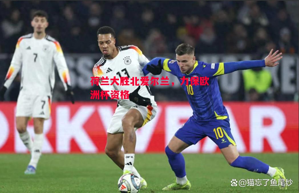 荷兰大胜北爱尔兰，力保欧洲杯资格