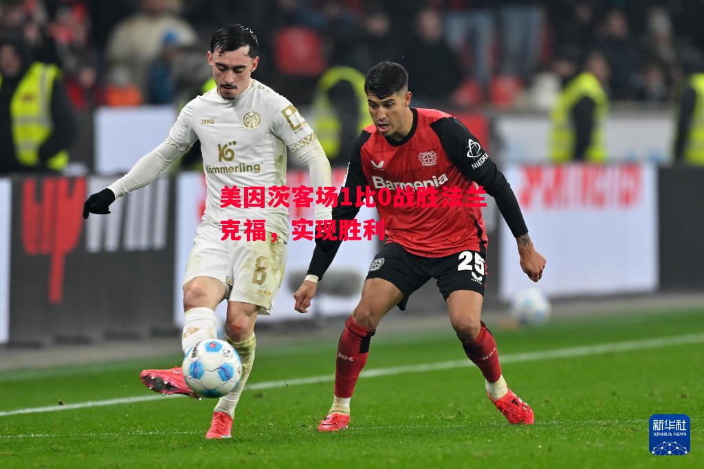 FB体育平台-美因茨客场1比0战胜法兰克福，实现胜利