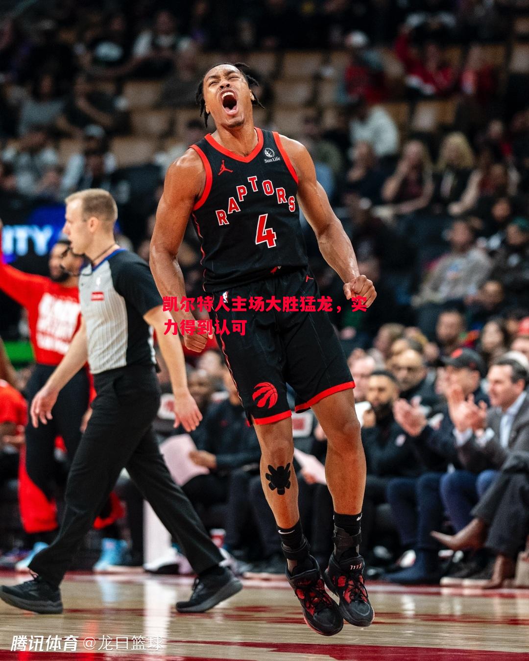 凯尔特人主场大胜猛龙，实力得到认可