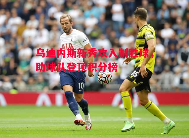 乌迪内斯新秀攻入制胜球，助球队登顶积分榜