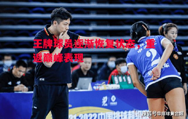 FB体育平台-王牌球员逐渐恢复状态，重返巅峰表现