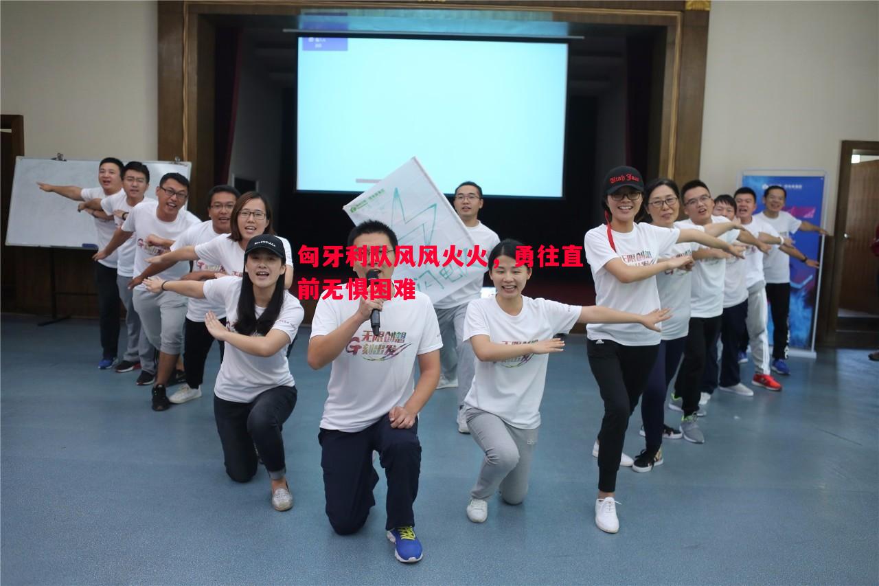 FB体育官方网站-匈牙利队风风火火，勇往直前无惧困难