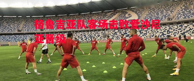 FB体育平台-格鲁吉亚队客场击败爱沙尼亚晋级
