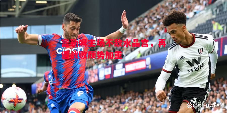 富勒姆主场不敌水晶宫,再遭战败颓势加重 富勒姆主场不敌水晶宫,再遭战败颓势加重