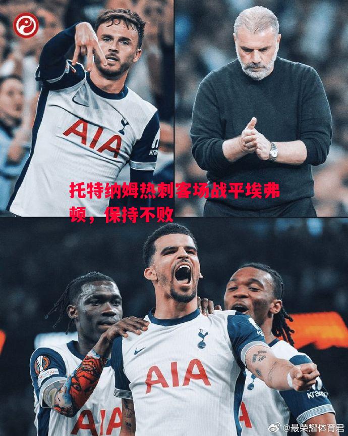 托特纳姆热刺客场战平埃弗顿，保持不败