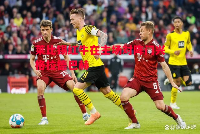 莱比锡红牛在主场对阵门兴格拉德巴赫