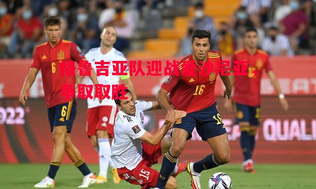 格鲁吉亚队迎战爱沙尼亚，争取取胜