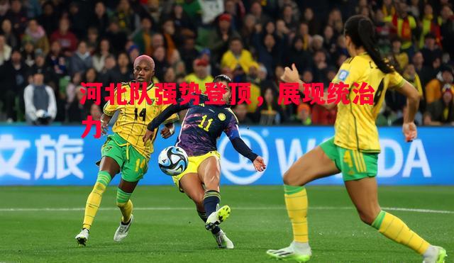 FB体育官网-河北队强势登顶，展现统治力