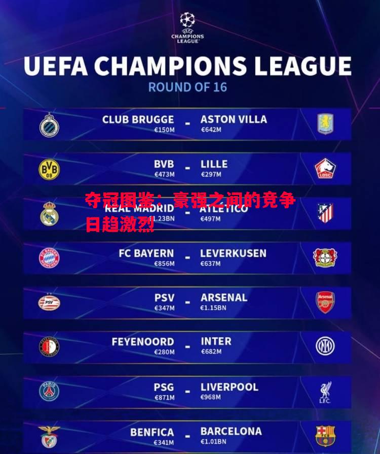 FB体育-夺冠图鉴：豪强之间的竞争日趋激烈