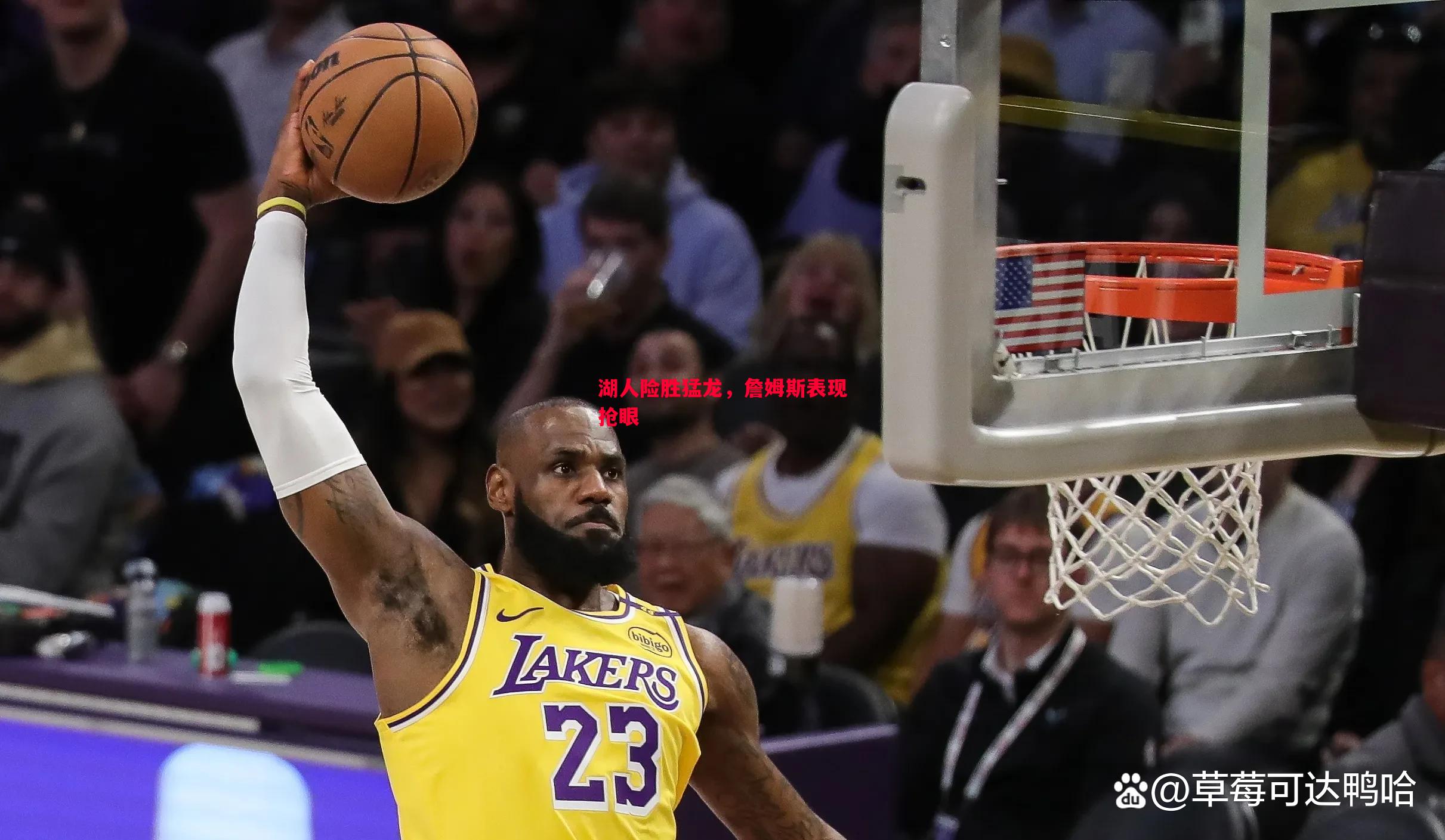 FB体育平台-湖人险胜猛龙，詹姆斯表现抢眼