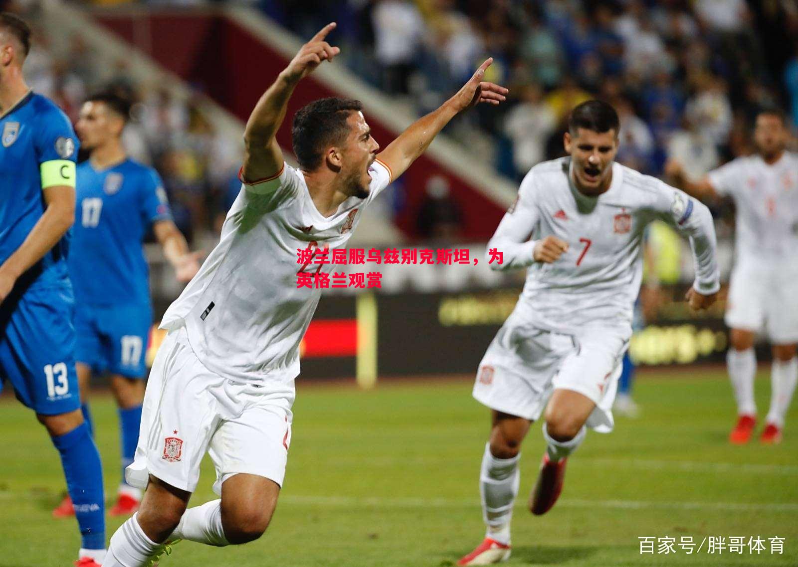 FB体育官网-波兰屈服乌兹别克斯坦，为英格兰观赏