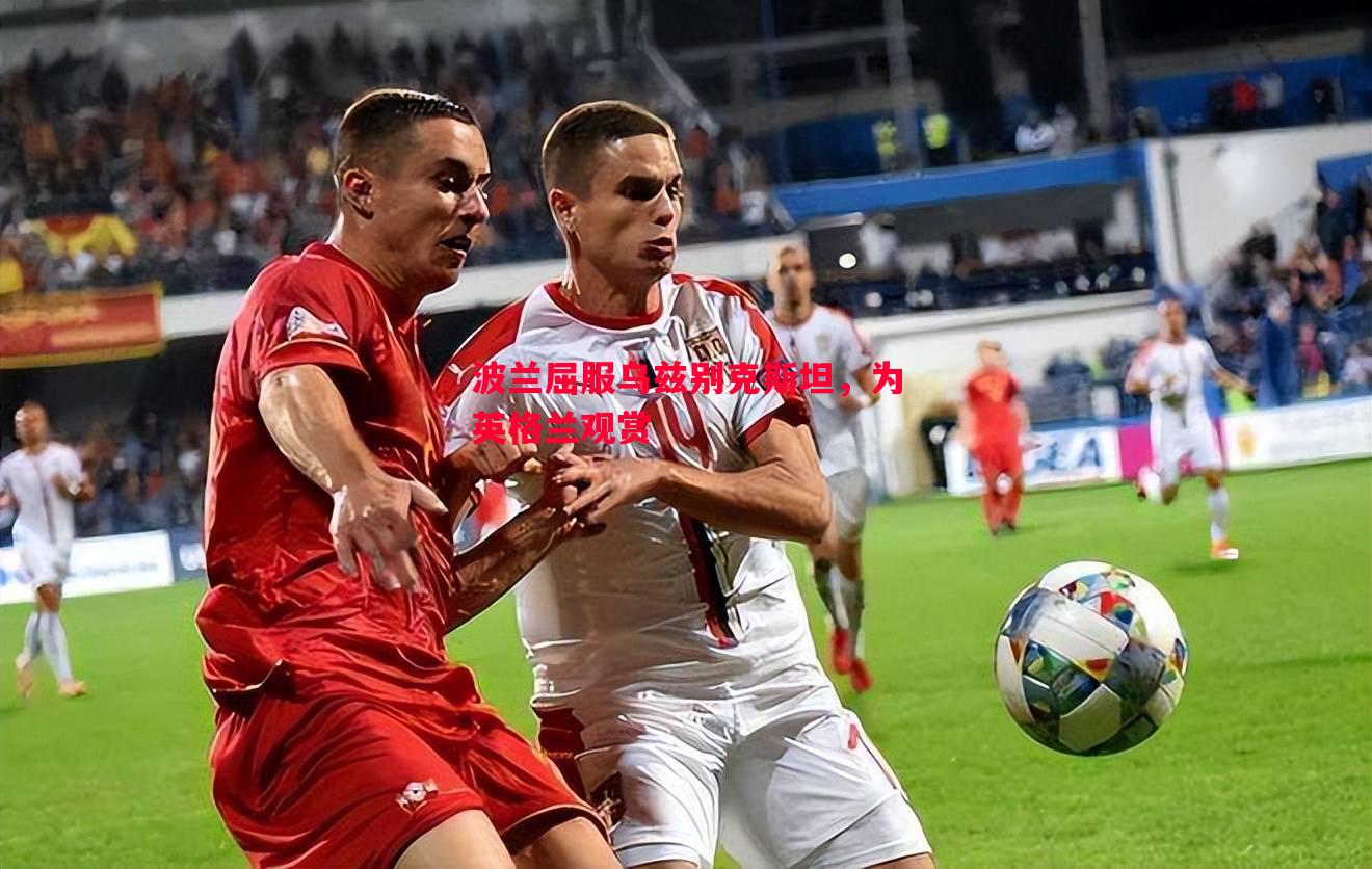 波兰屈服乌兹别克斯坦,为英格兰观赏 波兰屈服乌兹别克斯坦,为英格兰观赏